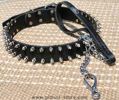 Collar Studded 